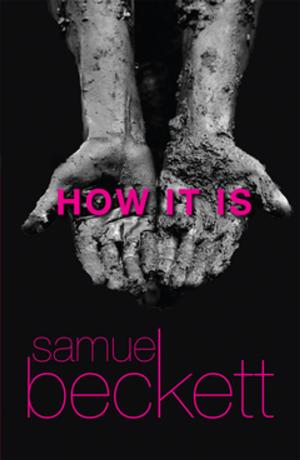 Cover of the book How It Is by James Meek