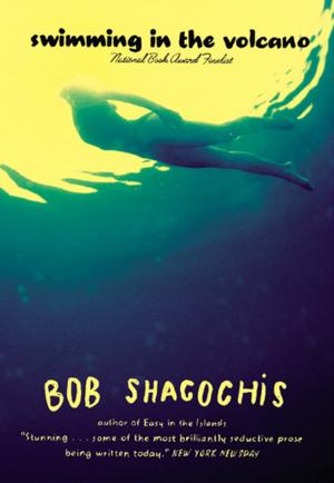 bigCover of the book Swimming in the Volcano by 