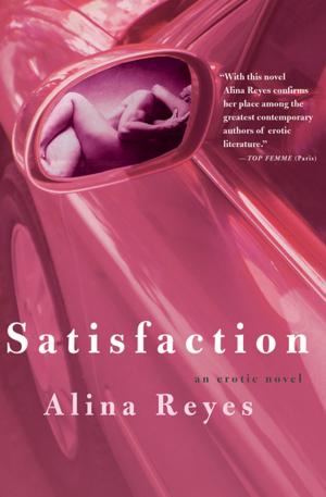 Cover of the book Satisfaction by Lily Tuck