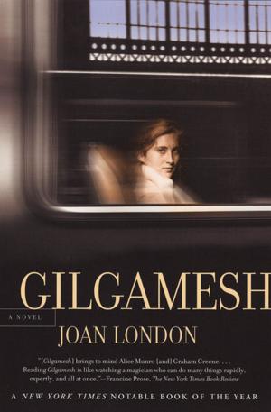 Cover of the book Gilgamesh by José Latour