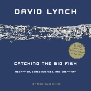 Cover of the book Catching the Big Fish by Katherine Spencer
