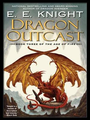 Cover of the book Dragon Outcast by Rabia Gale