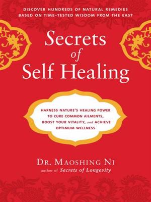 Cover of the book Secrets of Self-Healing by Dr. Rajan Sankaran