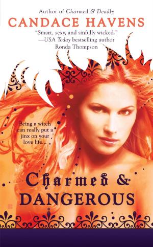 Cover of the book Charmed & Dangerous by Tim McGregor