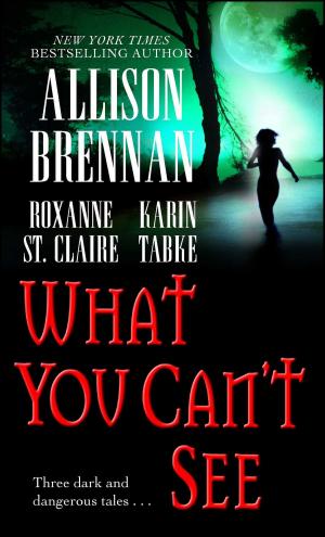 Book cover of What You Can't See