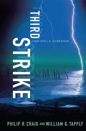 Cover of the book Third Strike by David Lehman, Edward Hirsch