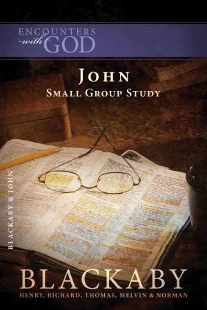 Cover of the book John by Larry Crabb
