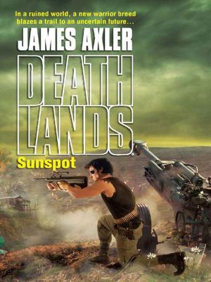 Cover of the book Sunspot by Alex Archer