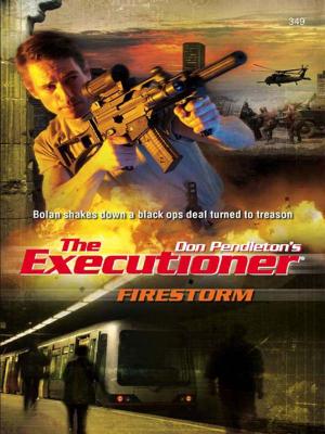Cover of the book Firestorm by Alex Archer