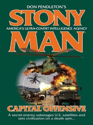 Cover of the book Capital Offensive by Don Pendleton