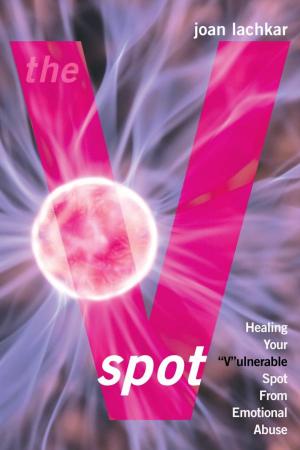 Cover of the book The V-Spot by D R. D Cohl