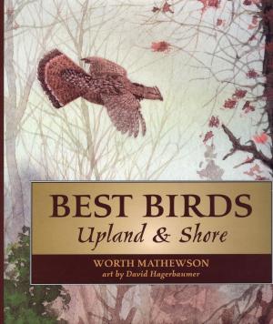 Cover of the book Best Birds Upland and Shore by David Cole, Rich Brame