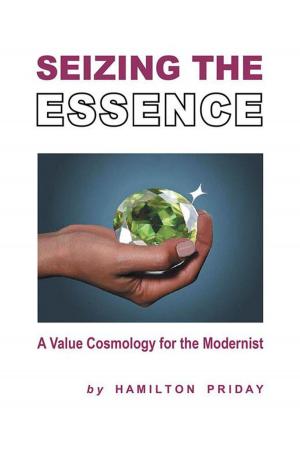 Cover of the book Seizing the Essence by Lulu De Zulu