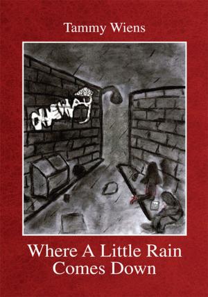 Cover of the book Where a Little Rain Comes Down by Resurrección Espinosa
