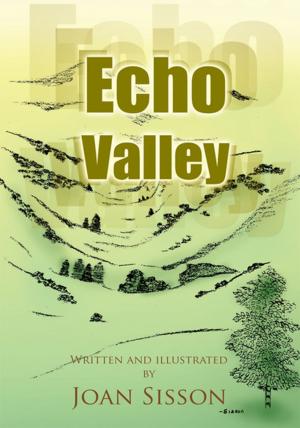 Cover of the book Echo Valley by Paul Easter
