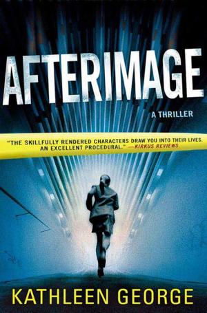 Cover of the book Afterimage by Ellie Nielsen