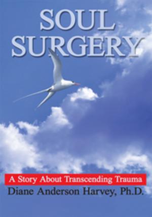 Cover of the book Soul Surgery by Robert Weinhofer
