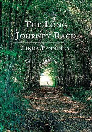 Cover of the book The Long Journey Back by Dorothy van den Honert