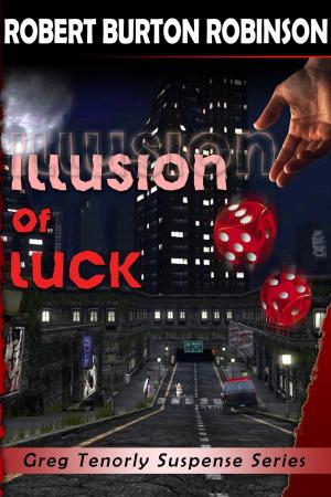 Book cover of Illusion of Luck