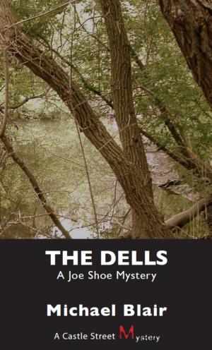 Cover of the book The Dells by J.C. Hutchins