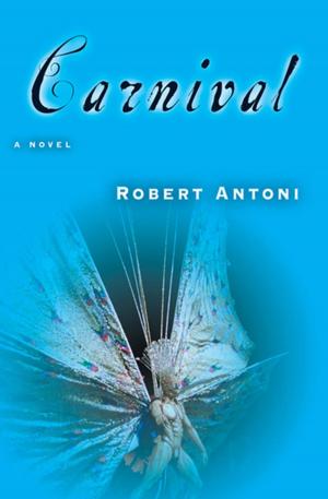 Cover of the book Carnival by Aminatta Forna