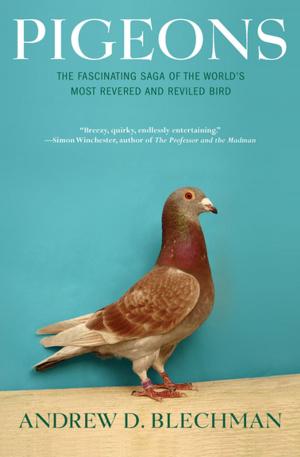 Cover of the book Pigeons by Jeanette Winterson