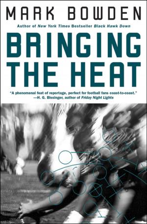 Book cover of Bringing the Heat