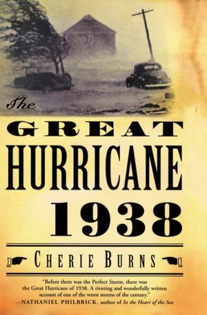 Cover of the book The Great Hurricane, 1938 by Karen Slavick-Lennard