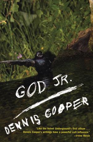 Cover of the book God Jr. by Audur Ava Olafsdottir