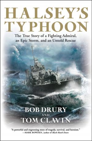 Cover of the book Halsey's Typhoon by Bradford Morrow