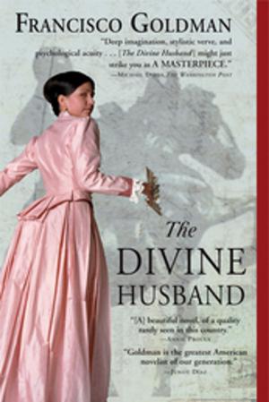 Cover of the book The Divine Husband by Tom Gilling