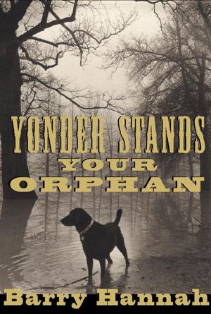 bigCover of the book Yonder Stands Your Orphan by 