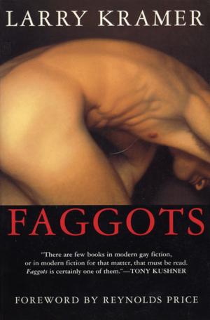 Cover of the book Faggots by Michael Wolfe