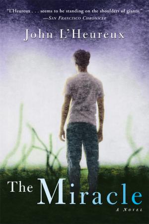 Cover of the book The Miracle by Jerzy Kosinski