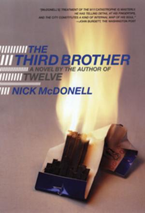 Cover of the book The Third Brother by Patricia Highsmith