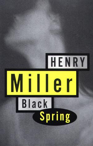 Cover of the book Black Spring by Tina Cassidy