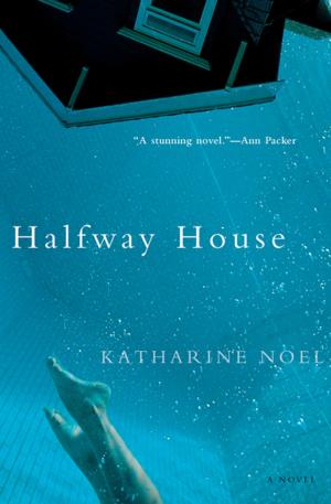 Cover of the book Halfway House by J. P. Donleavy