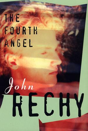 Cover of the book The Fourth Angel by Sabina Murray