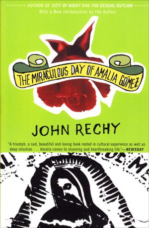 Cover of the book The Miraculous Day of Amalia Gómez by Simon Ings