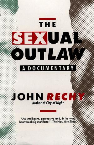 Book cover of The Sexual Outlaw