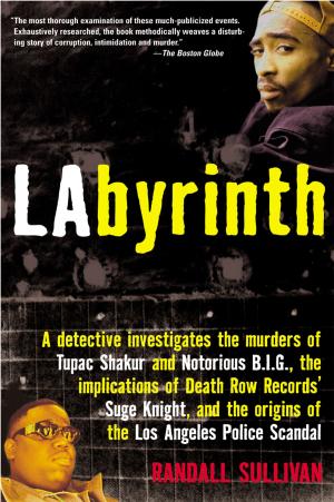 Cover of the book Labyrinth by Thomas H. Cook