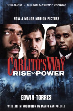 Cover of the book Carlito's Way by Sara Hubbard