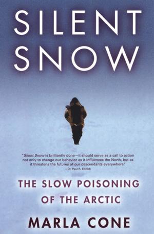 Cover of the book Silent Snow by John Lawton