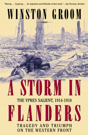 bigCover of the book A Storm in Flanders by 
