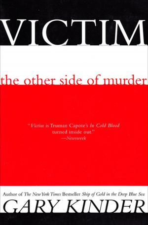 Cover of the book Victim by Matt Ruff