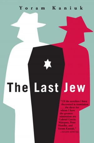 Book cover of The Last Jew