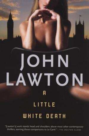Cover of the book A Little White Death by Joan London