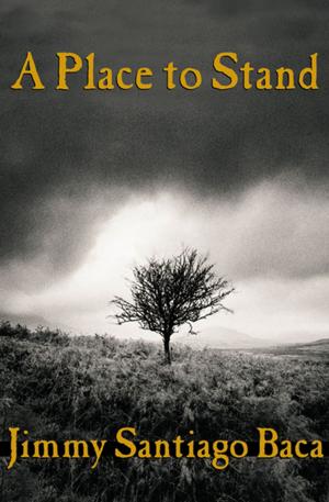 Cover of the book A Place to Stand by Alison Weir