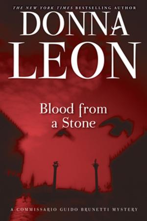 Cover of the book Blood from a Stone by Tom Drury