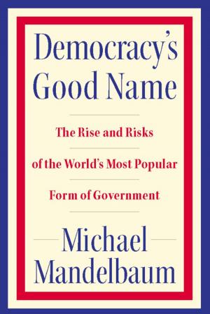Cover of the book Democracy's Good Name by Joseph Menn